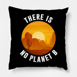 There Is No No Planet B Pillow