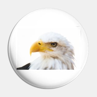 Bald Eagle Pin