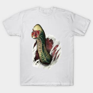 merch Massacre Alien Ladies V Neck T Shirt Adult S-3X I'm A Hugger Lv-426 Xenomorph Aliens Ripley Sci Fi Science Fiction XL / Black