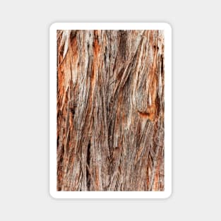 Rustic Orange Stringy Bark Tree Magnet