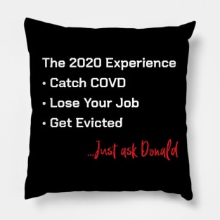 The 2020 Experience Pillow