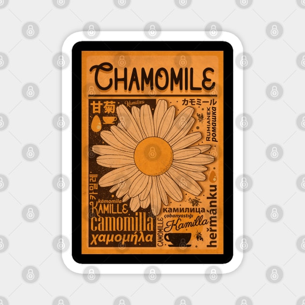 Vintage International Chamomile Magnet by CTShirts