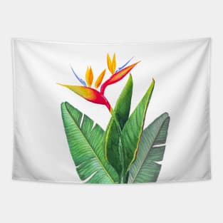 Tropical strelitzia Bird of Paradise flower  watercolor illustration Tapestry