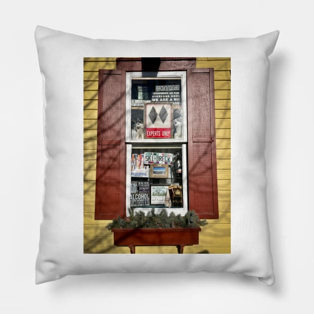 Breckenridge Ski Window Pillow by cbernstein