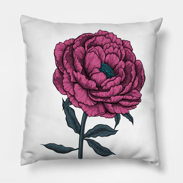 Peony drawing 3 Pillow by katerinamk