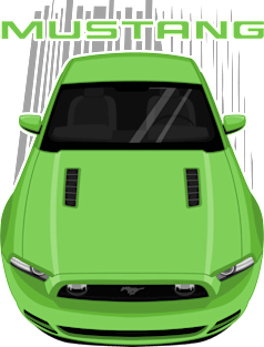 Mustang GT 2013 to 2014 - Green Magnet