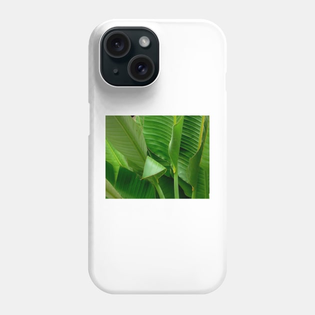 Banana Leaves Phone Case by DANAROPER