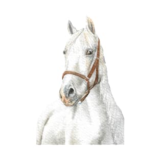 white horse watercolor portrait 2 T-Shirt