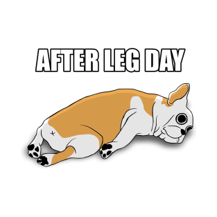 After Leg Day Pug Meme T-Shirt