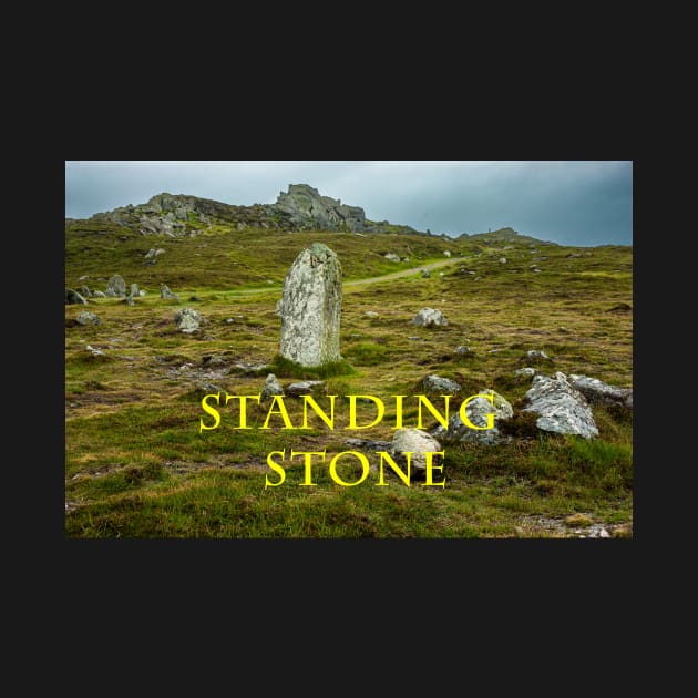 An Ancient Standing Stone in Ireland by TTDean