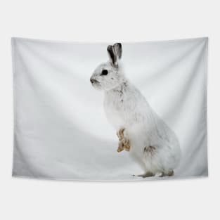 Snow Shoe Hare Tapestry