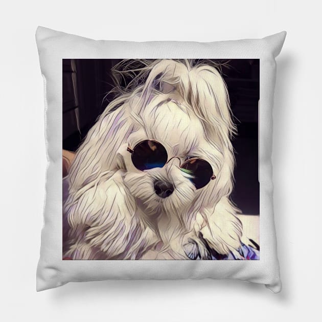 Maltese Coco the model, maltese dog, maltese, maltese puppy, dog model, white dog, dog products Pillow by roxanegabriel