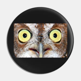 Sreach Owl Eyes Pin