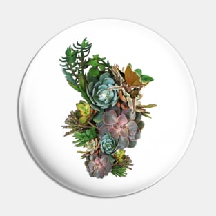 Succulent visitors Pin