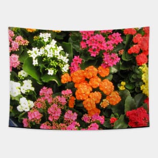 Kalanchoe Flowers Tapestry