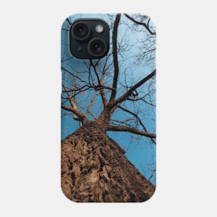 From a Squirrel's Perspective Phone Case
