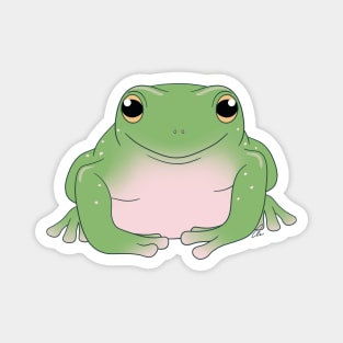 Whites Tree Frog or Australian Green Tree Frog, Green Coloration Magnet