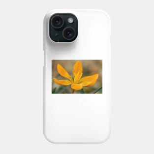 Crocus  &#39;Orange Monarch&#39; Phone Case