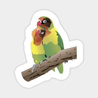 Fischer's Lovebirds Parrots Magnet