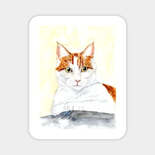 Red and white cat Magnet