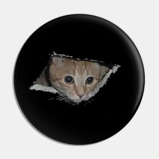 The same cat that looks out of a hole in the ceiling now looks out of a hole in anything! Pin