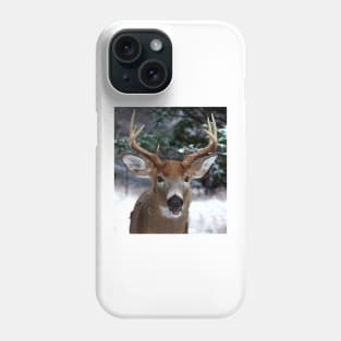 Play with me? White-tailed buck Phone Case