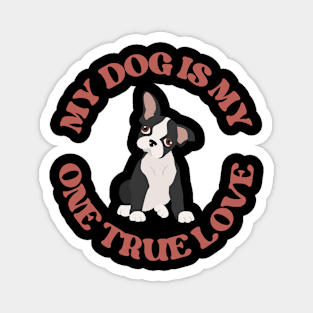 My one true love: My Dog Magnet