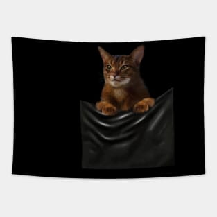 Abyssinian cat, Cat insde pocket, Cat Lover Tapestry