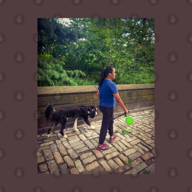 Central Park Dog Walking Manhattan New York City by eleonoraingrid