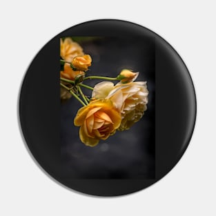 Yellow Roses Pin