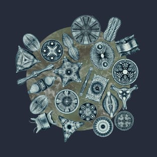 Ernst Haeckel Cerulean Diatoms on Mossy  Water T-Shirt