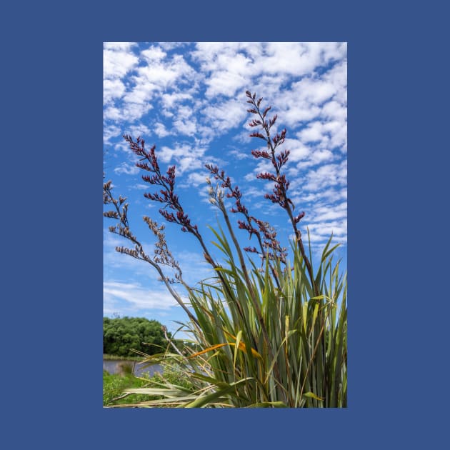 NZ flax bush. by sma1050