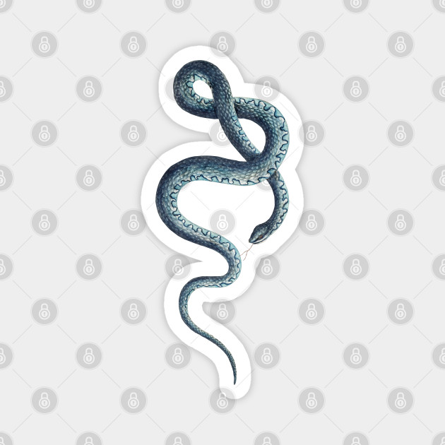 Flock tvetydigheden strå Blue snake - Snake - Magnet | TeePublic