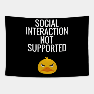 Social Interaction Not Supported Tapestry