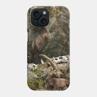 Ibex On Rocks Phone Case