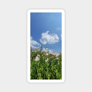 Oklahoma Meadow #2 Magnet