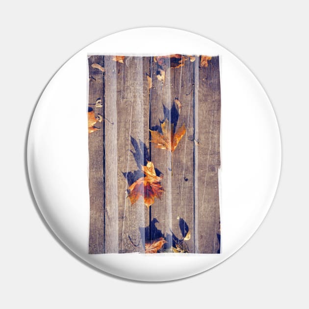 Autumn Leaves Pin by cinema4design