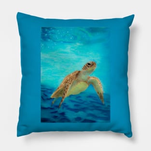 Sea Turtle Pillow