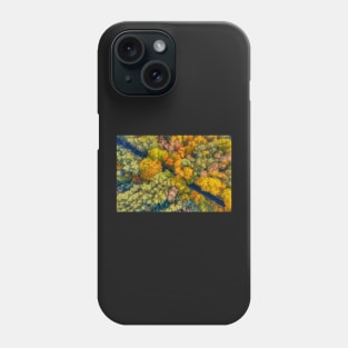 Aerial view of road through colorful autumn forest Phone Case