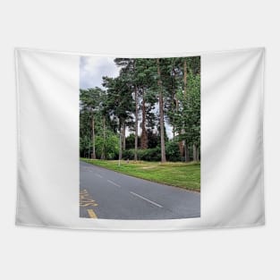 School boy reading under the tree Tapestry