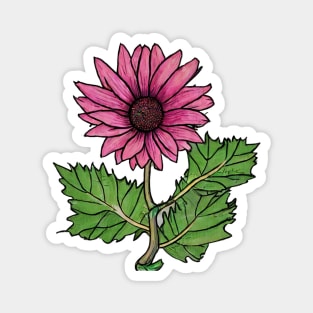 Pink Flower Drawing Magnet