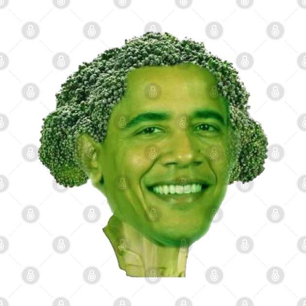 Barackoli by ShayliKipnis