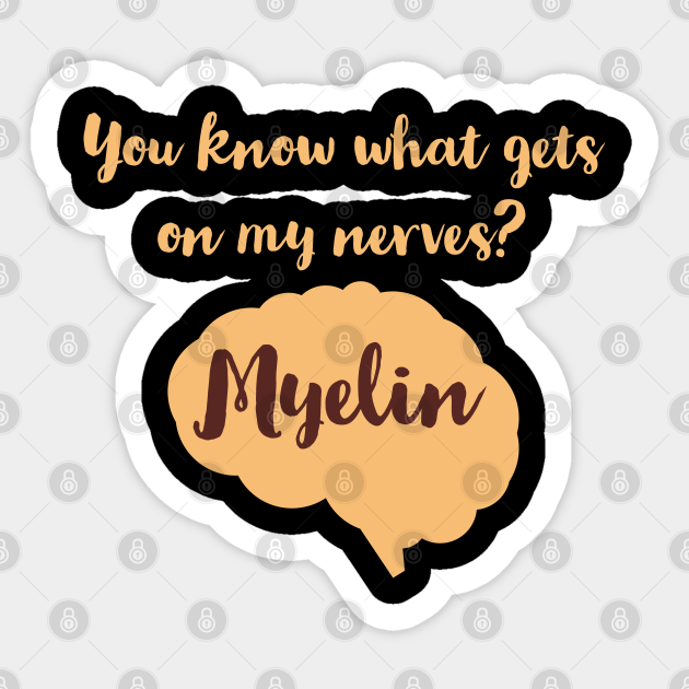 You know what gets on my nerves?Myelin,Funny Neurologist jokes - Funny Neurologist Jokes - Sticker | TeePublic You know what gets on my nerves?Myelin,Funny Neurologist jokes - Funny Neurologist Jokes - Sticker | TeePublic