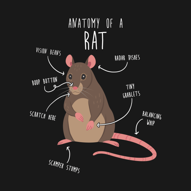 Rat Anatomy by Psitta