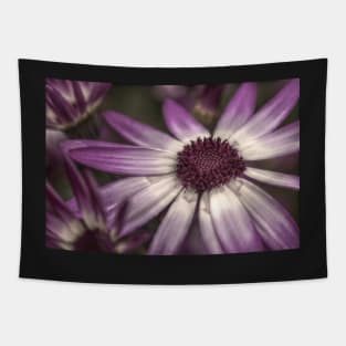 HDR Senetti #2 Tapestry