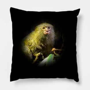 Marmoset Pillow