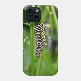 Swallowtail Caterpillar Phone Case