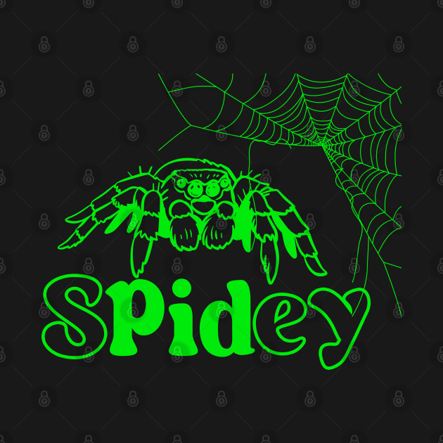 Spidey Web by Proway Design