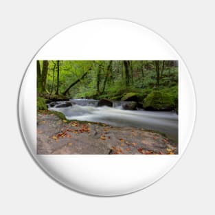 Golitha falls nature reserve Pin