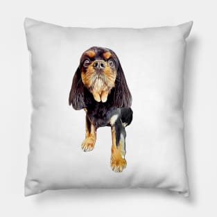 Cavalier King Charles Spaniel Black and Tan Pillow